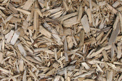 biomass boilers Ynyshir